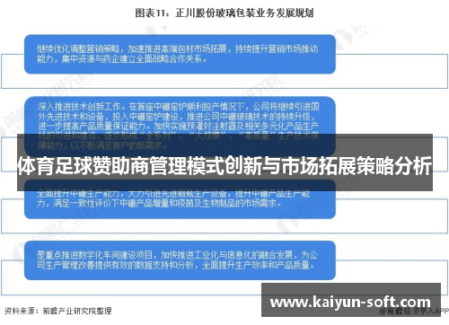 体育足球赞助商管理模式创新与市场拓展策略分析
