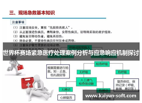 世界杯赛场紧急医疗处理案例分析与应急响应机制探讨