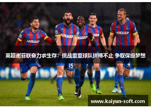 英超谢菲联奋力求生存：挑战重重球队拼搏不止 争取保级梦想