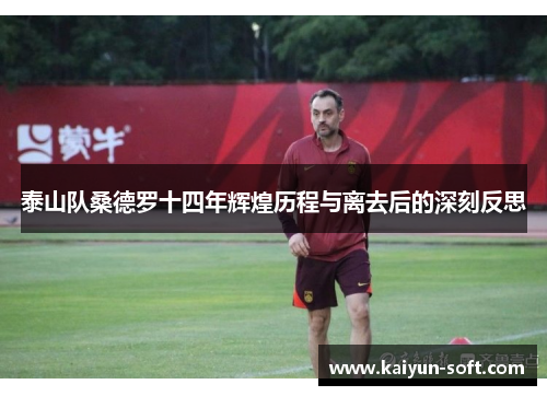 泰山队桑德罗十四年辉煌历程与离去后的深刻反思