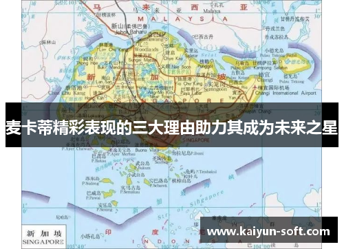 麦卡蒂精彩表现的三大理由助力其成为未来之星