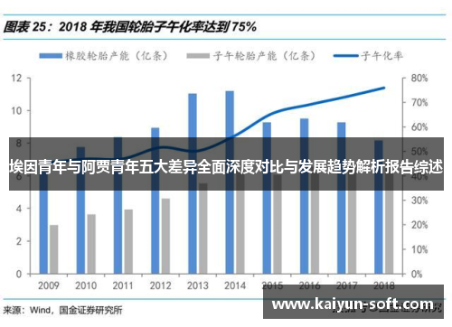 埃因青年与阿贾青年五大差异全面深度对比与发展趋势解析报告综述